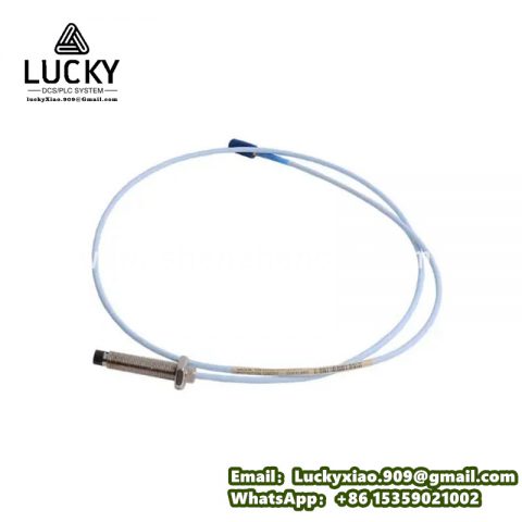 BENTLY 330103-00-06-10-02-00