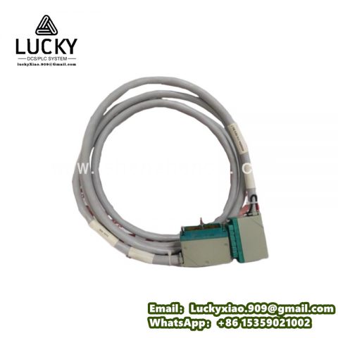 TRICONEX 4000094-350