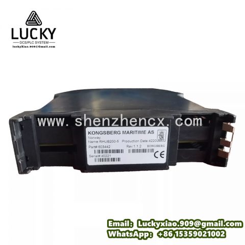 Kongsberg RHUB200-5